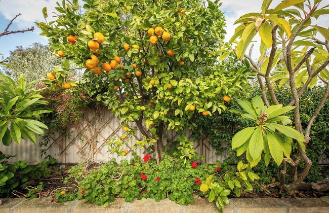 Pool & Putt Paradise - Foto 27