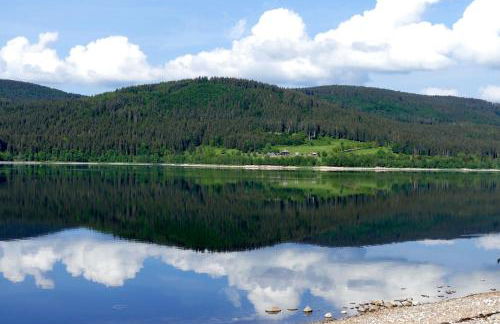 Haus Weitblick - Fewo Herzogenhorn - Bernau, Schwarzwald - Foto 21