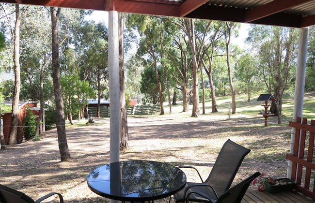 The Black Sparrow - Photo 73