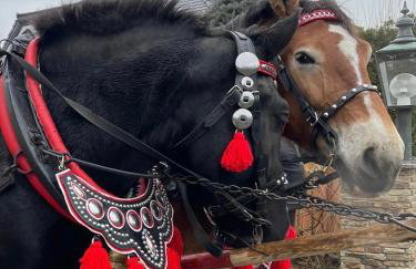 Apartamenty Agroturystyczne Papiernia Grill, Sauna & Jacuzzi - Foto 16