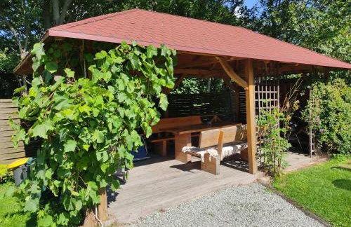 Wiśniowy Sad - Foto 6