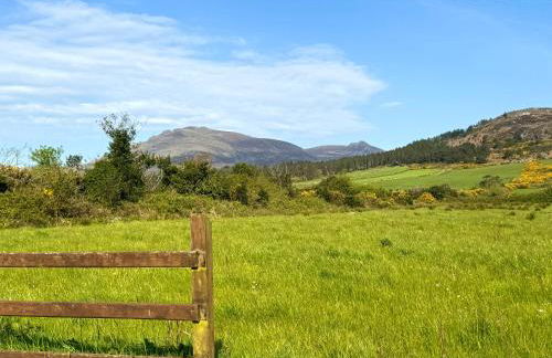 Holly Tree Cottage - Photo 38