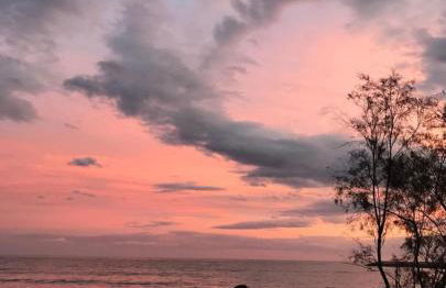 Tartaruga House - Foto 24