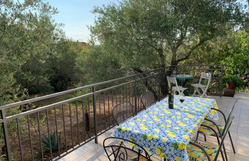 Apartman Ruža - Photo 25