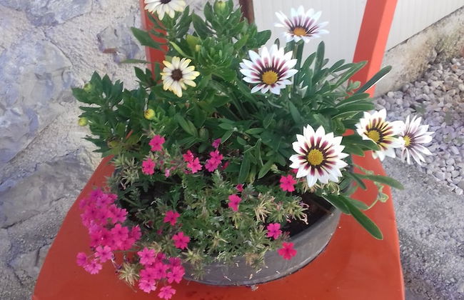 Stunning 1-bed Apartm. Near the Beach in M. Lošinj - Foto 16