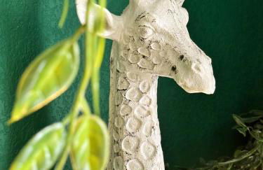 Jungle Suite Jacuzzi Spa Terrasse, Wi-Fi & Parking PV - Foto 14