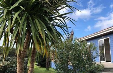 La Casa Azul - Foto 12