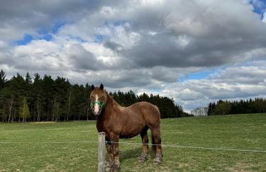 Apartament na Polnych Domach - Foto 14