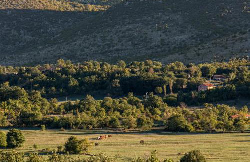 Villa Sinodium - Foto 42