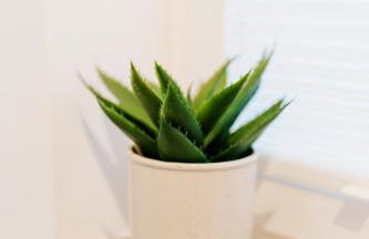 Küsten Suite de Diek - Suite 3 seitliche Deichlage, Terrasse, 53qm - Foto 42