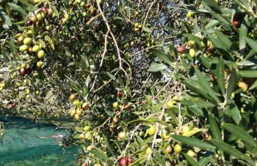 Romantic loft - Foto 29