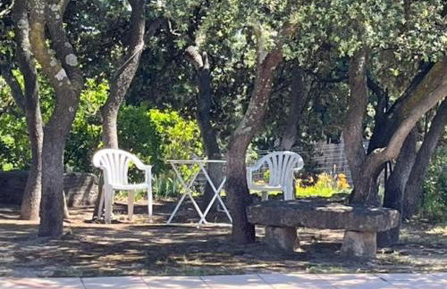 La Pujauline - Photo 7