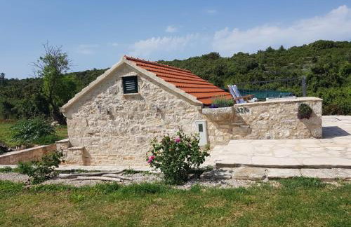 Country House Vinko - Foto 9