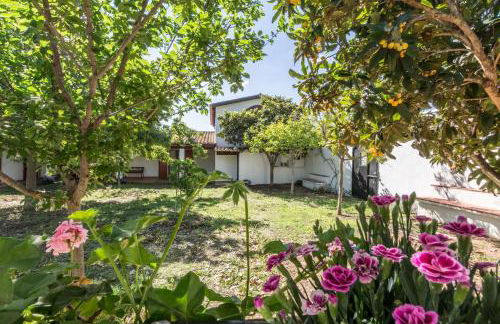 Abba Arrubia - Foto 17