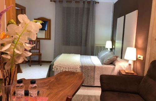 Hotel Apartamentos Barrau - Foto 11