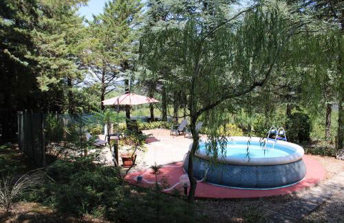 Le Conifere - Foto 24