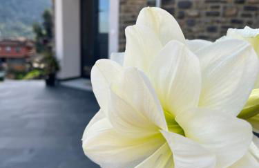 Apartamentos Rurales El Solsuco Casa MariaCarlos - Foto 1