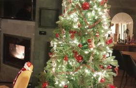 Tout proche d'Ax les Thermes détente et relaxation jusqu'à 8 pers dans la maison de Véronique avec piscine terrain de pétanque et jacuzzi - Foto 11