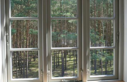 Alexanderhaus, Pension und Restaurant - Photo 61