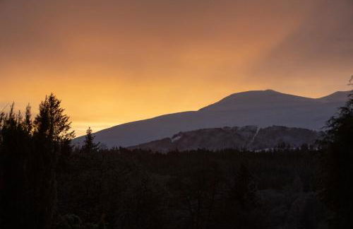 Room with a view - Photo 7