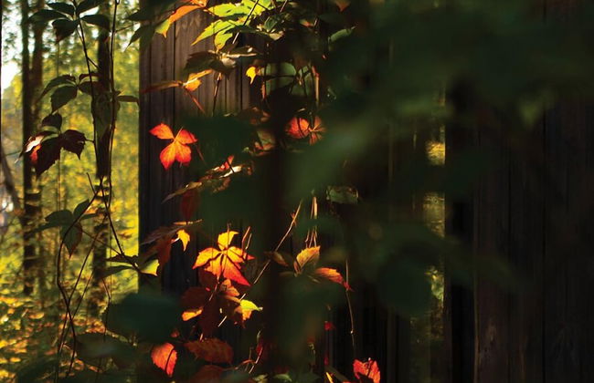 Rabarberi LV - SeaSide Village - Foto 42