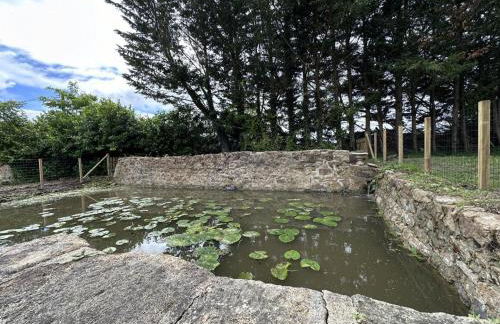 Gîte de l'Espinasse : Charme bucolique, animaux acceptés - FR-1-489-535 - Foto 26