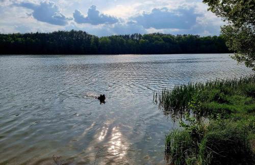 Domek de Janauis - Foto 39