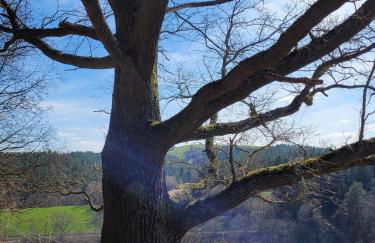 Kleines Studio mit Gartenzugang - Foto 8