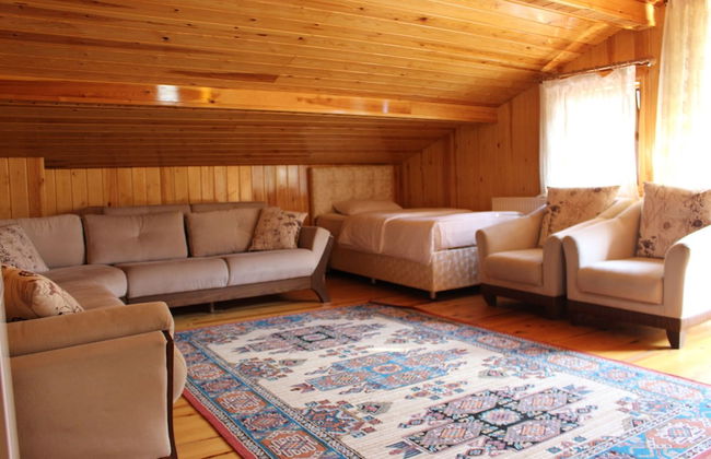 Uzungol Adiloglu Apart - Foto 6