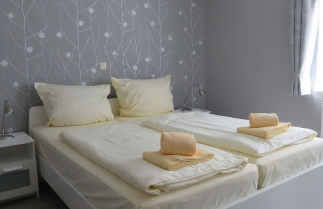 Geraumige Wohnung mit Skilift in der Nahe - Photo 3