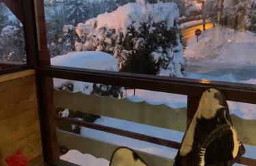 CHALET MONT BLANC - Foto 17