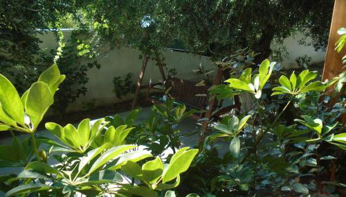 Leros Eleonas Apartments - Foto 3, Garden, Garden view