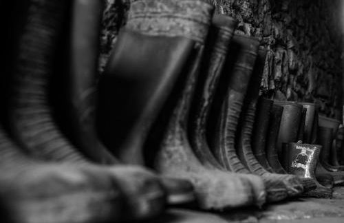 Strongate Cottage Rural Retreat - near Bridport & Jurassic Coastline - Photo 32