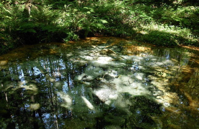 Holiday Home Hirtenkate Apartment 2 - Foto 12