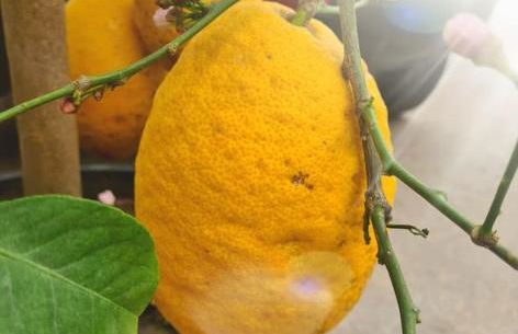 Energy Home - Foto 35