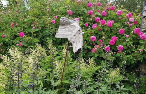 Frankenwaldhaus Comfortable Holiday Residence - Foto 21