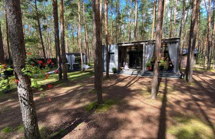 Las Biala's - Domki z sauną i jacuzzi w Puszczy Noteckiej - Tylko dla dorosłych - Foto 26