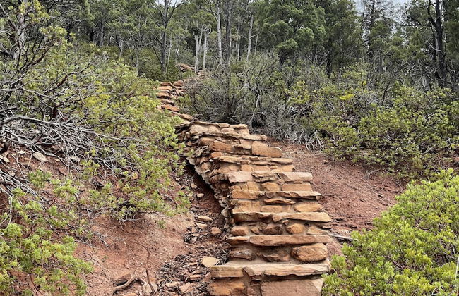 Glass House Elk Rim Pine - Photo 34
