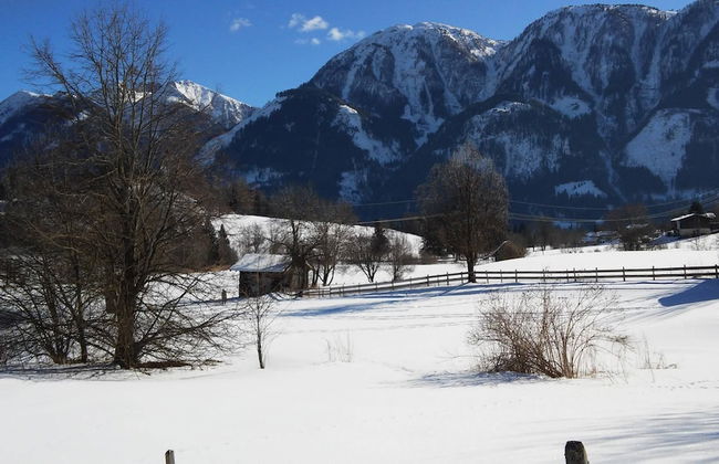 Mansion in Goldegg Near Ski Lift - Foto 50