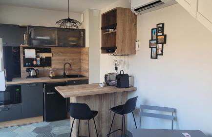 Au pied de la Basilique de Saint Nicolas de port - Foto 14