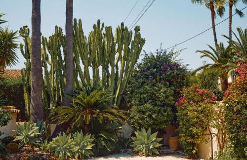 THE BEST HOLIDAY VILLA - Foto 57