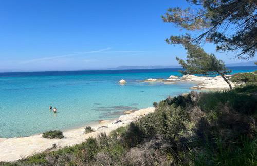 Four Shades Luxury Suites - Foto 21