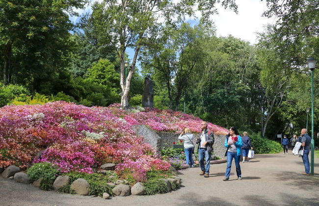 Saga Apartments - Foto 48