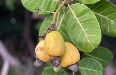 Casa do sossego - Foto 65