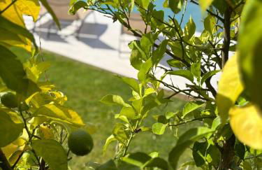 Casa do Beija - Foto 67