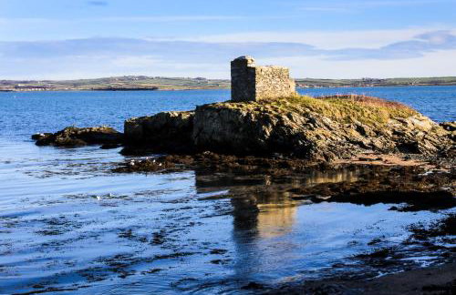 Penrhos Walks - Foto 46