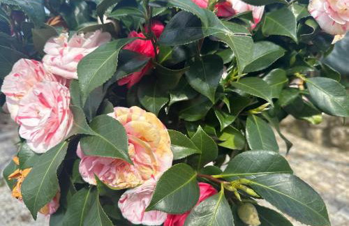 Ribeiro Country Villa com Piscina a 30 min do Porto - Foto 52