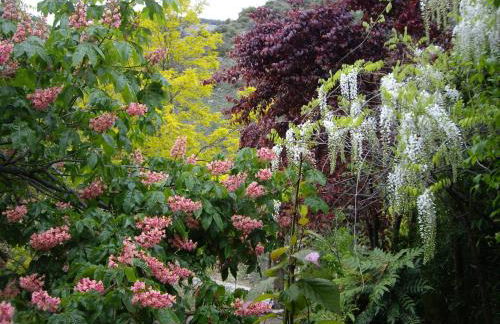 La Casita con piscina privada de tres dormitorios - Photo 44