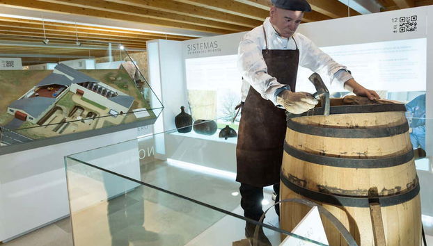 Visita guiada por el castillo de Peñafiel + Museo del Vino - Foto 4, Museo Provincial del Vino