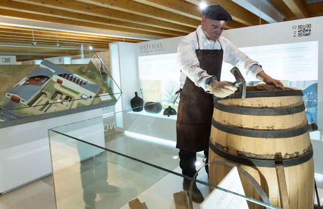 Visita guiada por el castillo de Peñafiel + Museo del Vino - Foto 4